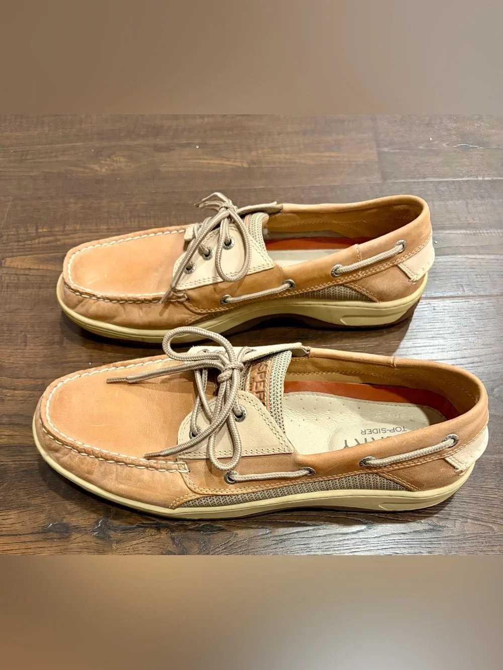 Sperry brand color